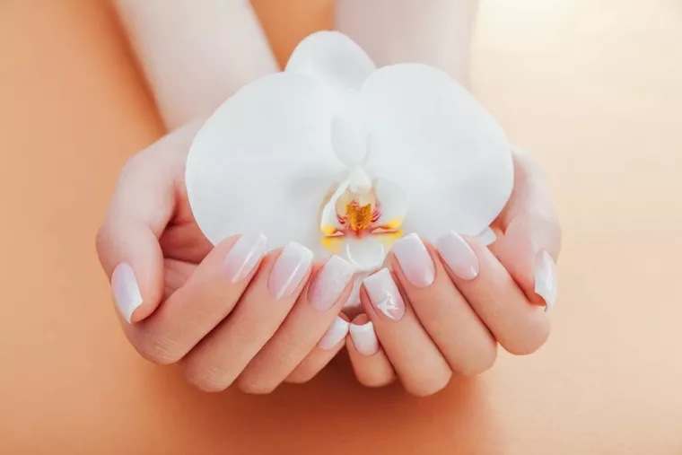 Manucure chablon gel pour une pose originale et rapide, Aix-en-Provence, Zen et Jolly